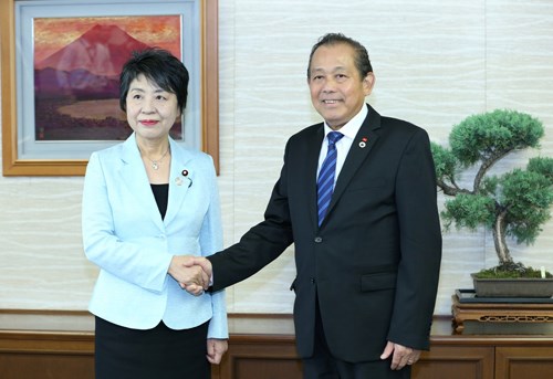 Phó Thủ tướng Trương Hòa Bình hội kiến Chủ tịch Thượng viện Nhật Bản, hội đàm với Phó Tổng thống Indonesia - ảnh 3